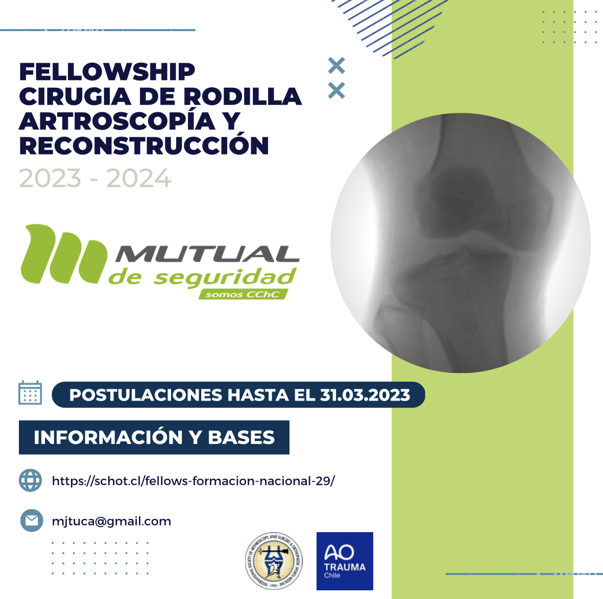 Estad A De Perfeccionamiento Fellowship Artroscop A De Rodilla Y